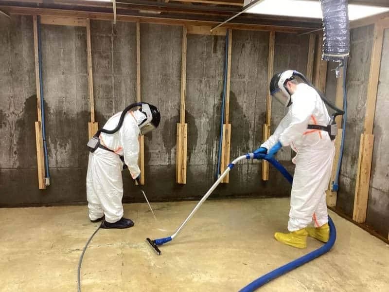 Professional water damage restoration technician assessing moisture damage in Clarksville TN home